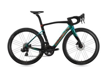 GP - Dogma X campa